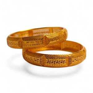 Elegant Gold Plated 2Pc Bangle Set | Stylish Jewelry for Girls & Women
